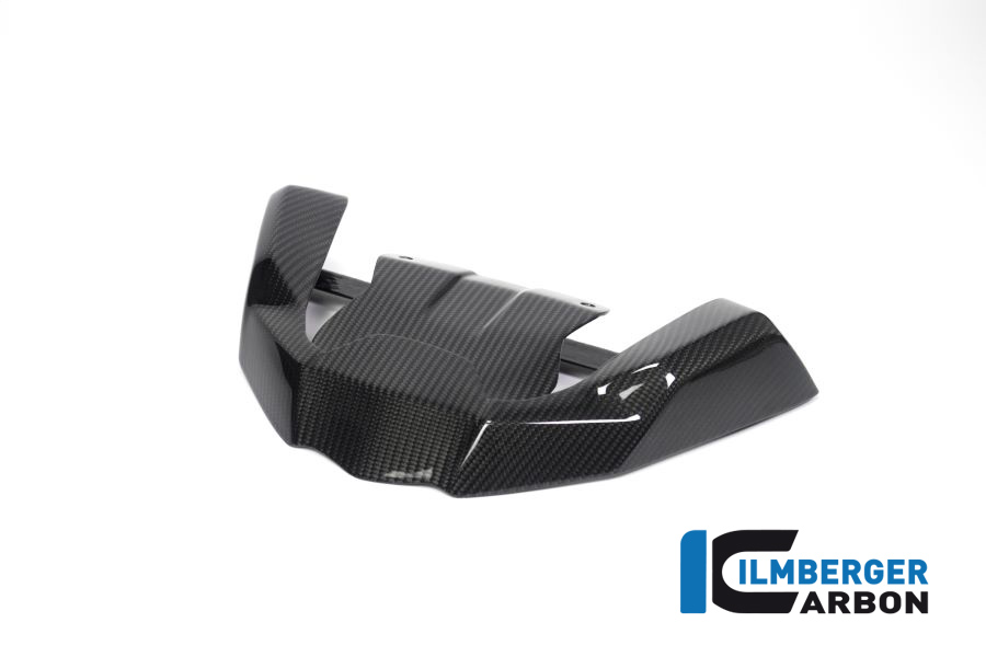 Ilmberger Carbon Front Beak Front Extension for the BMW R 1250 GS 2019 Ilmberger Carbon Front Beak Front Extension for the BMW R 1250 GS 2019